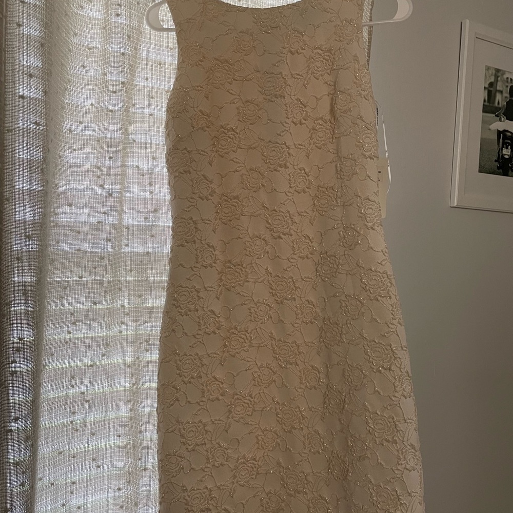 Donna Ricco Dress